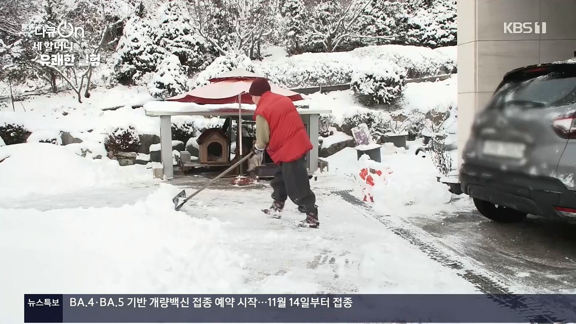 다큐 On.E166.221028p.H264-F1RST.mp4_20221031_194351.585.jpg