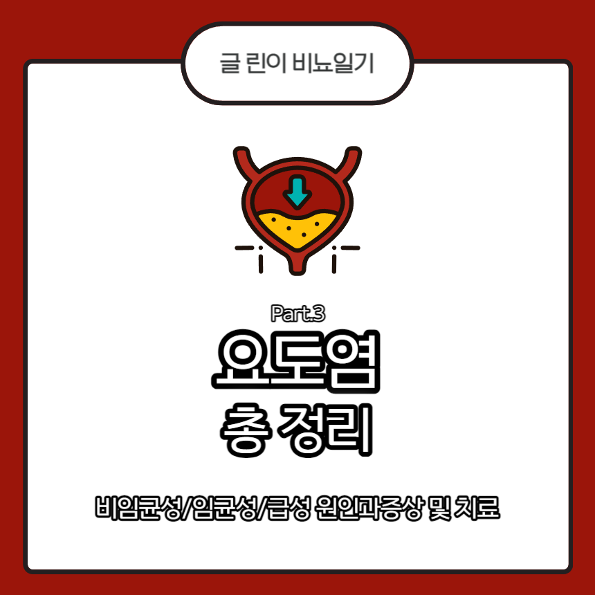  요도염 총 정리 Part.3 : 비임균성/임균성/급성 원인과증상 및 치료