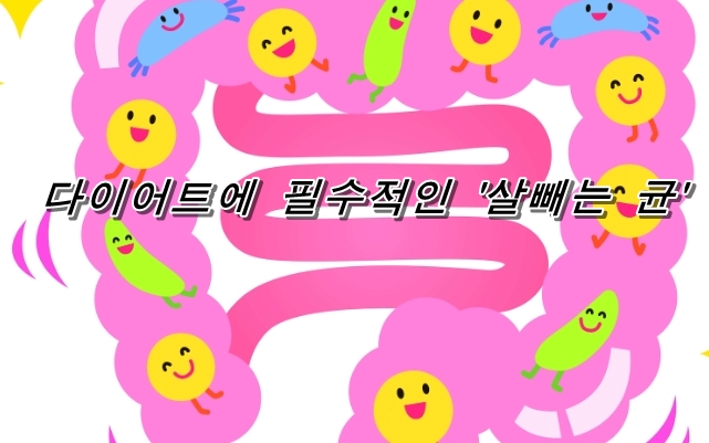  '살빼는 균'의 정체란? 장내 환경을 조성해 건강하게 살을 빼자!