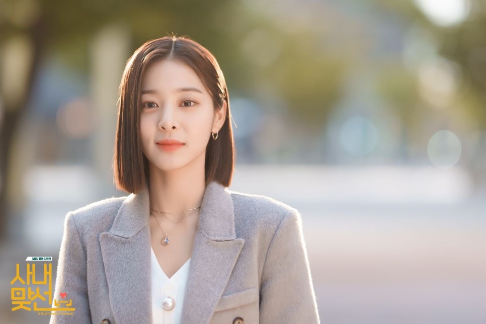 줄거리 정보 (안효섭x김세정) 드라마 사내맞선 출연진 11