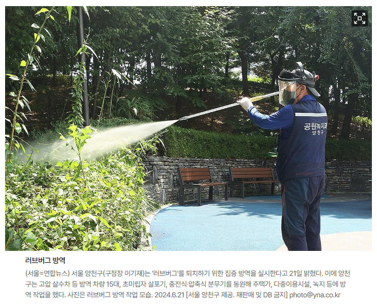 러브버그 방역 사진