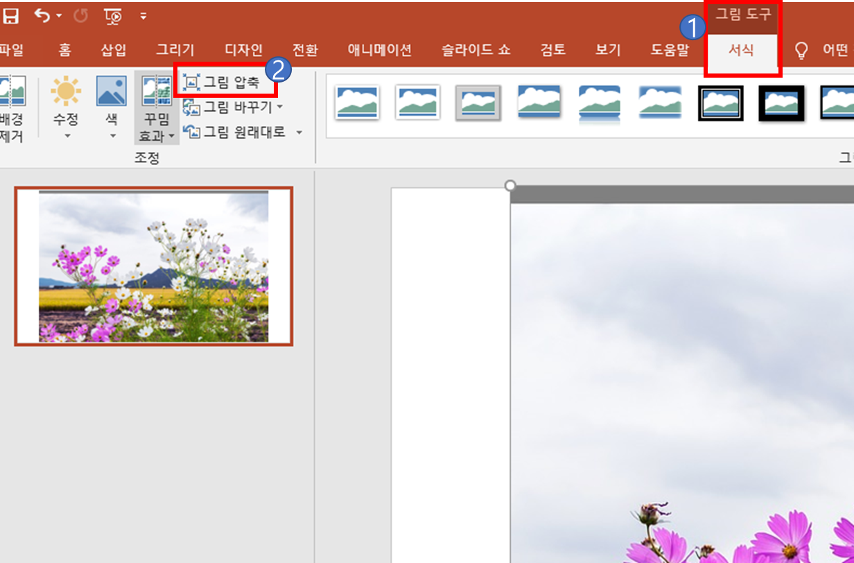 그림도구 - 서식 - 그림압축 클릭