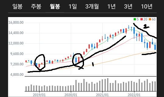 나스닥 월봉 차트