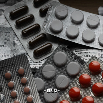 알부민 효능