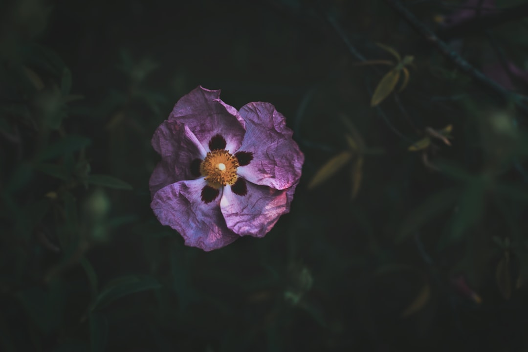 Floriculture