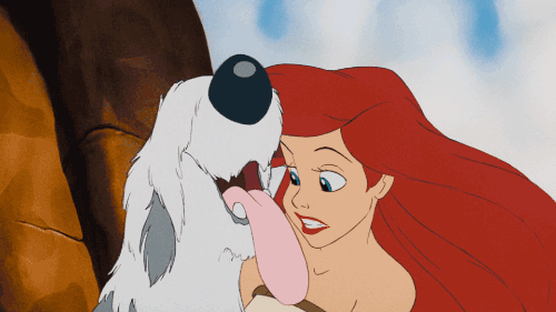 인어공주의 실제 모델 "셰리 스토너(Sherri Stoner)"_17.gif