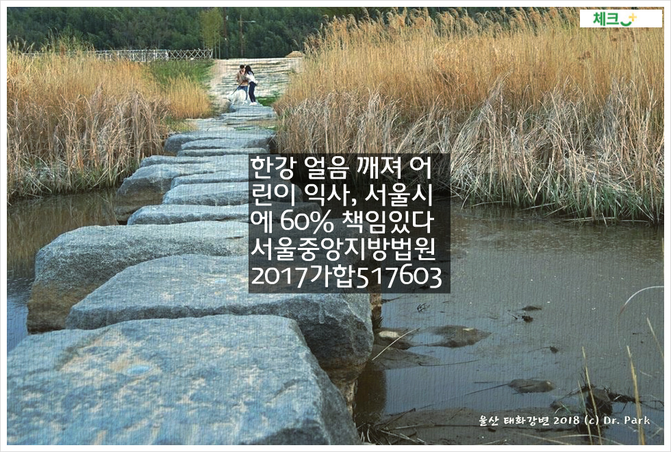 한강 얼음 깨져 어린이 익사&#44; 서울시에 60% 책임있다