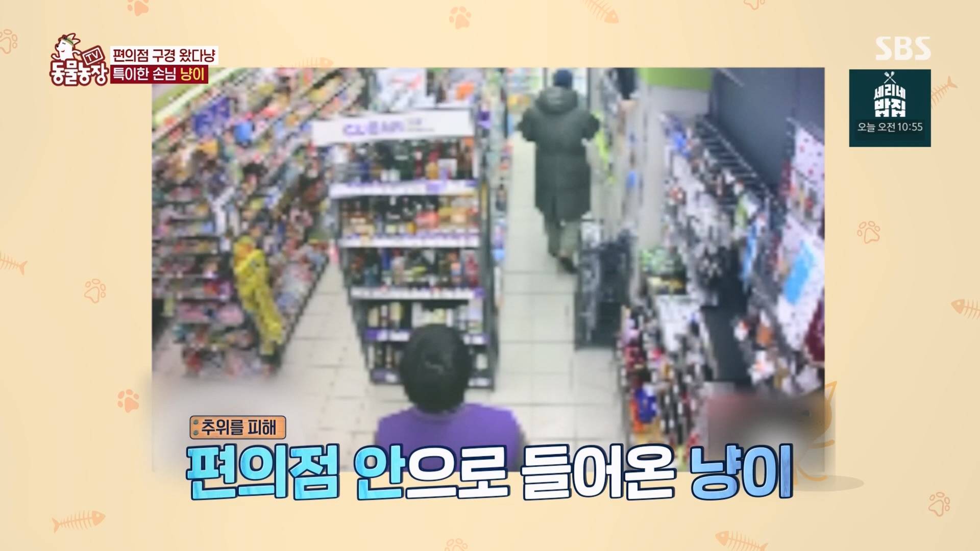 TV 동물농장.E1170.240505p.H264-F1RST.mp4_20240505_153806.999.jpg