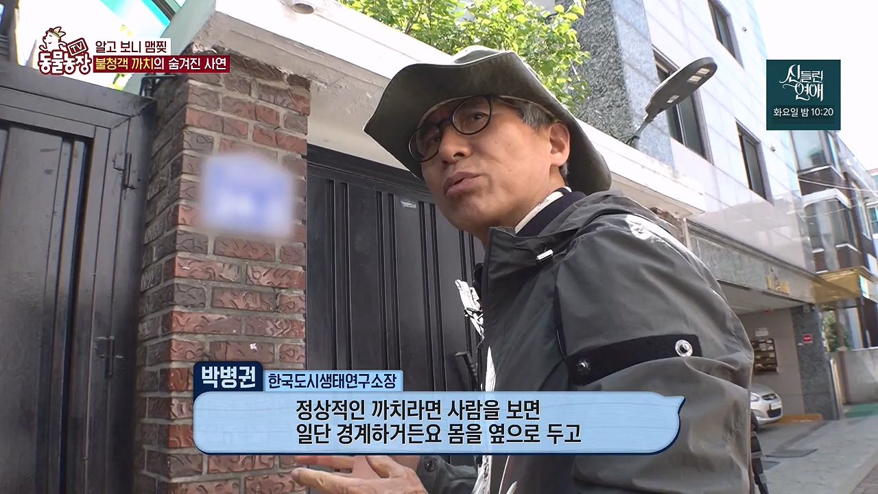 TV 동물농장.E1177.240624p-NEXT.mp4_20240623_163749.455.jpg