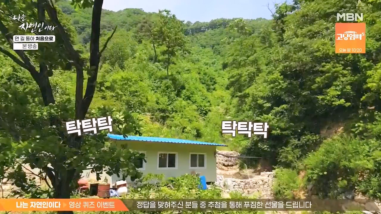 나는 자연인이다.E612.240704p-NEXT.mp4_20240704_195023.740.jpg