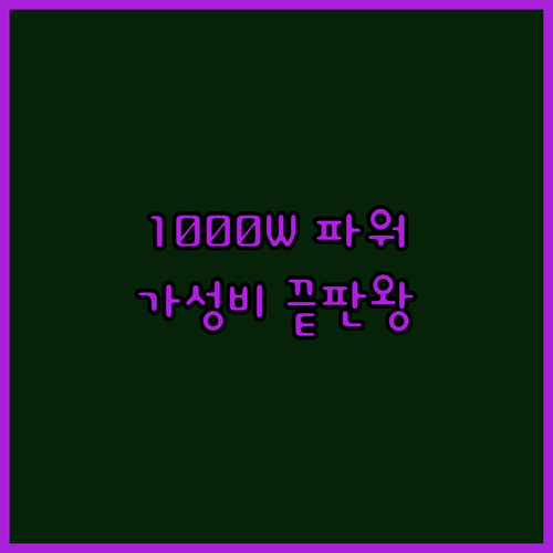 ZPW 1000W 전기 자전거 파워풀