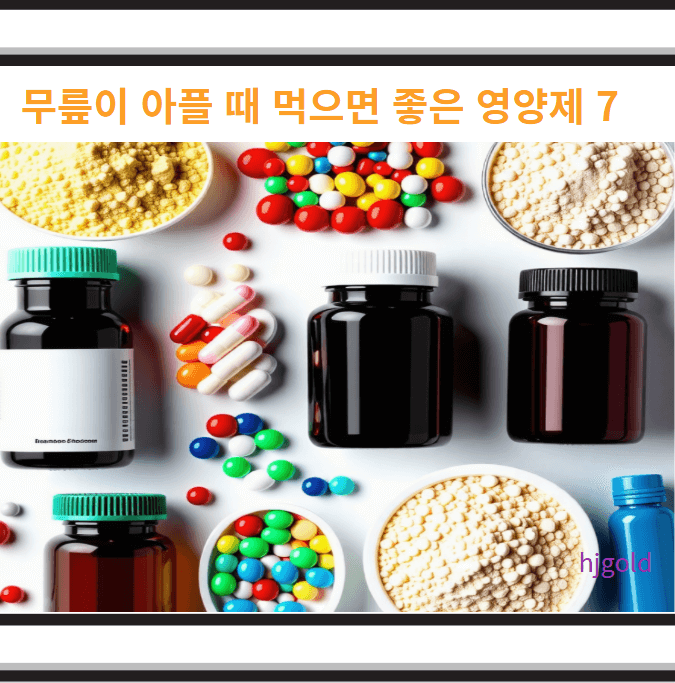 무릎 영양제