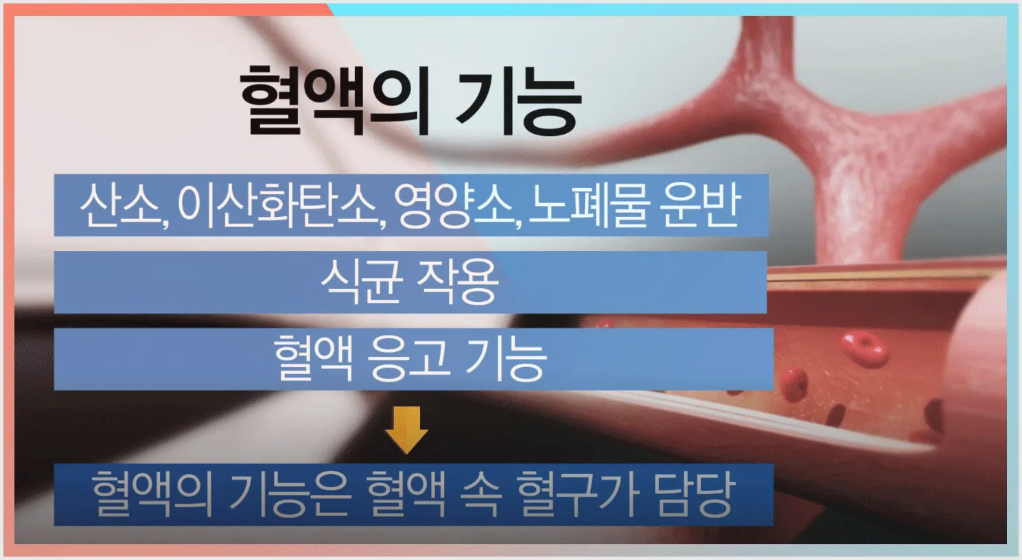 혈소판수치가 높으면