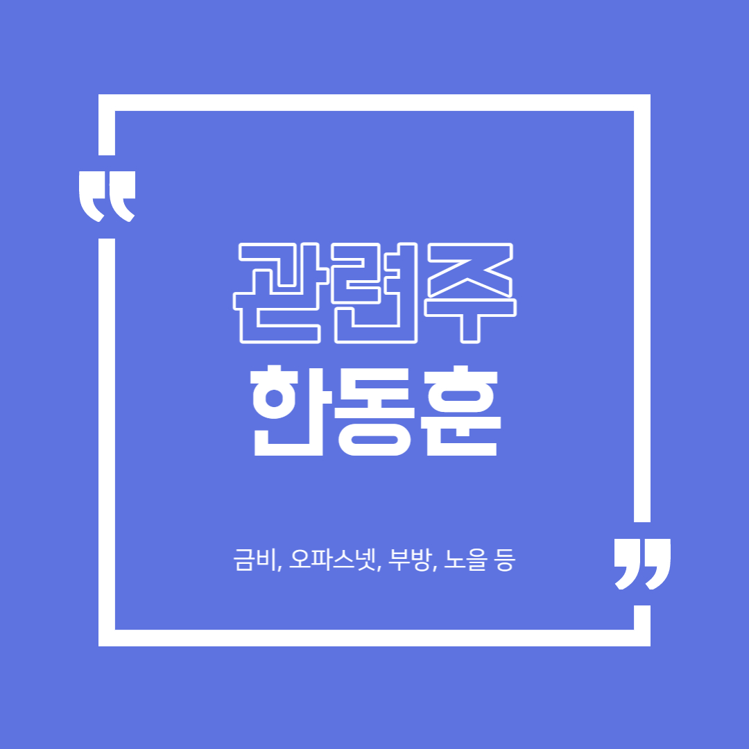  한동훈 관련주 정리 (금비, 오파스넷, 부방 등)