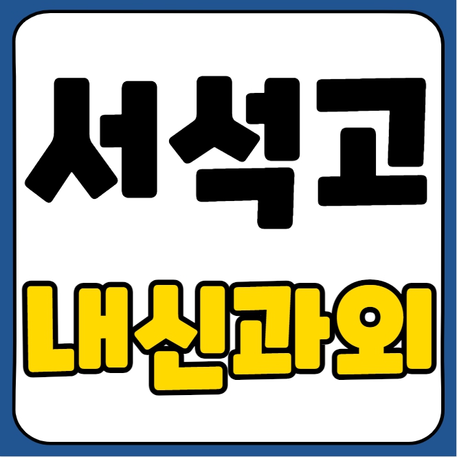  서석 고등 국어과외 서석고 내신대비 수능 고등학생 과학과외 수학 영어 수행평가 전과목