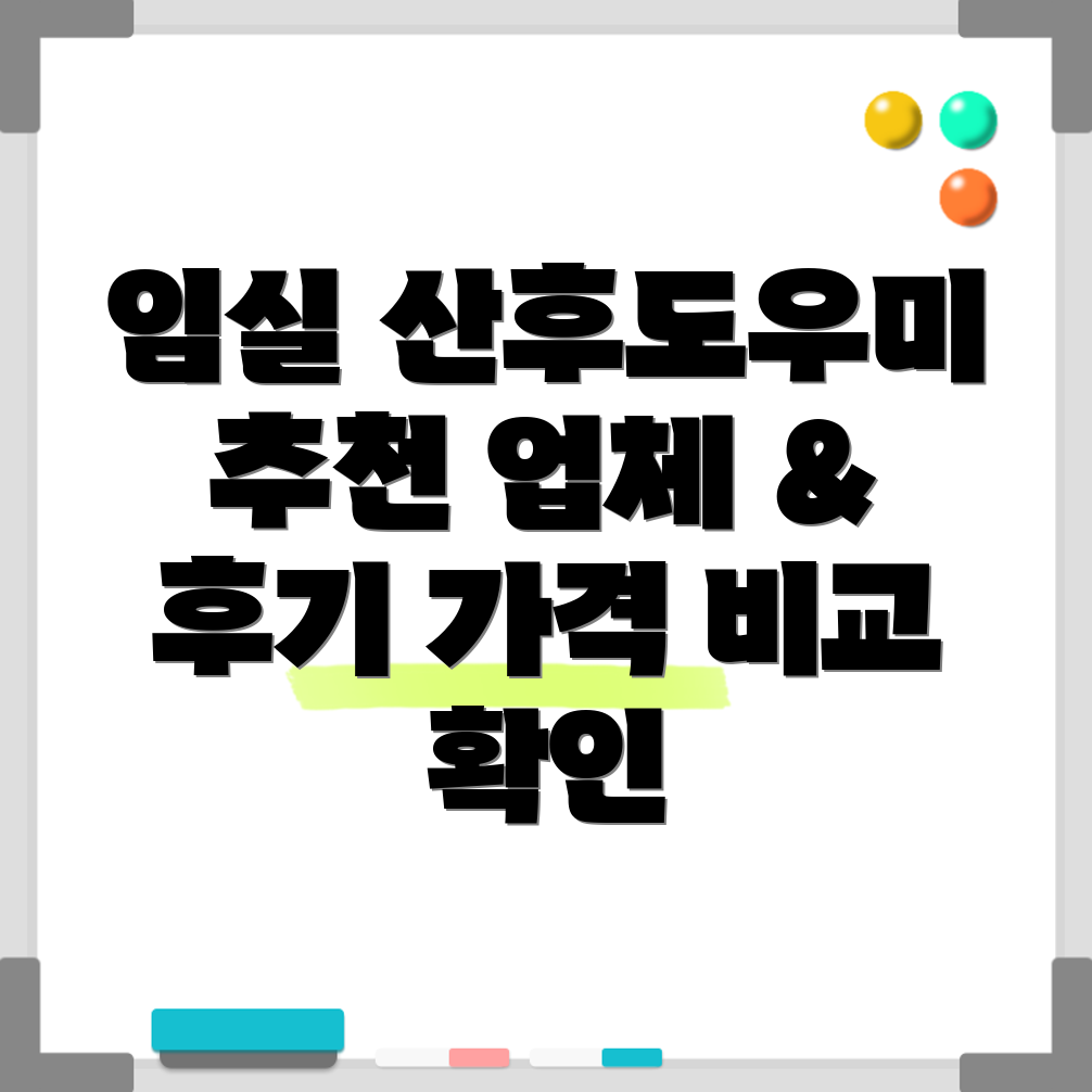 임실군 산후도우미