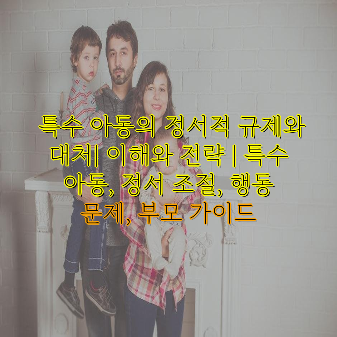  특수 아동의 정서적 규제와 대처 이해와 전략  특수 