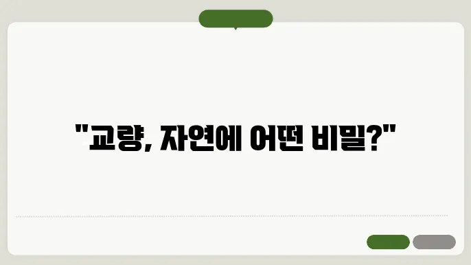 교량 건설과 지역 사회 사진