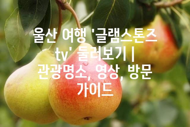 랜덤176
