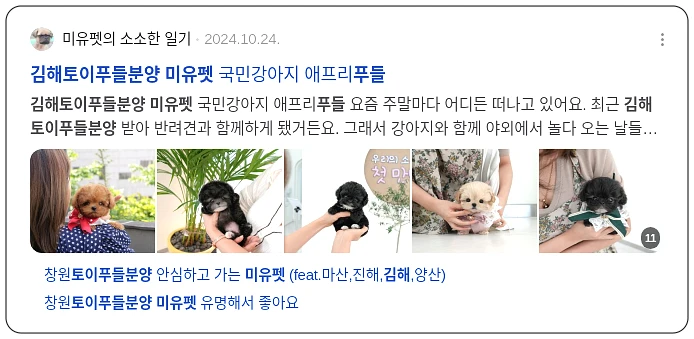 미유펫 김해 토이 푸들 분양_3_subsection