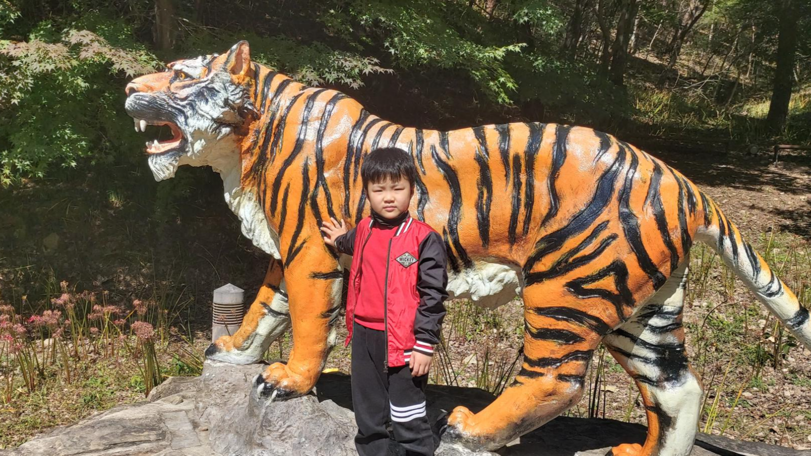 영광 불갑사 꽃무릇 산행