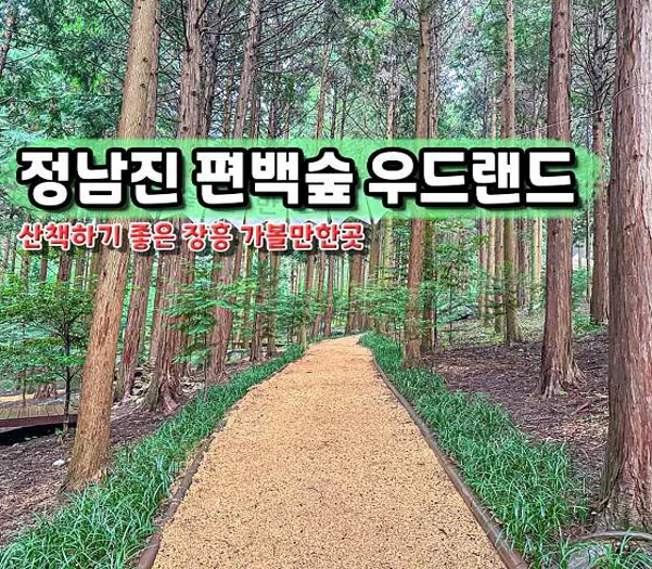 정남진 편백숲 우드랜드