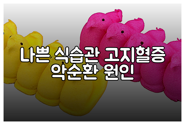 나쁜 식습관 고지혈증 악순환 원인