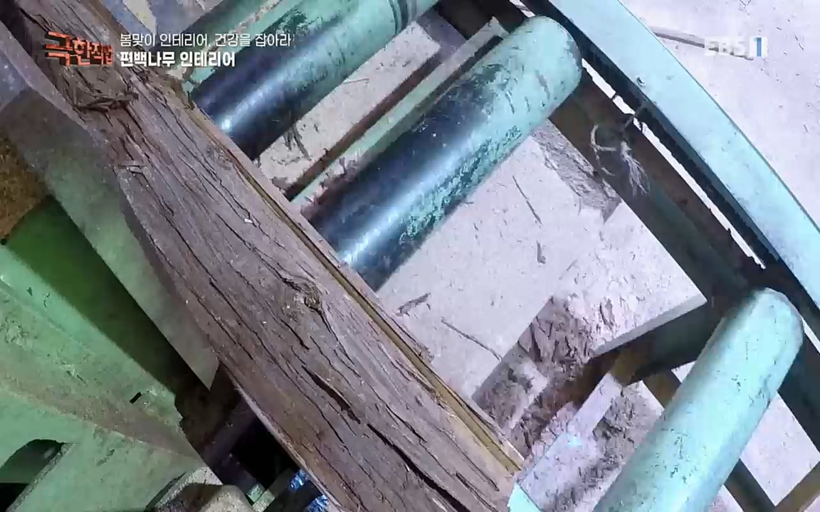 TV - 교육의 중심 EBS봄맞이 인테리어, 천연 소재로 건강을 잡아라.mp4_20220514_192321.508.jpg