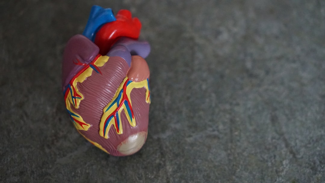 Liver.