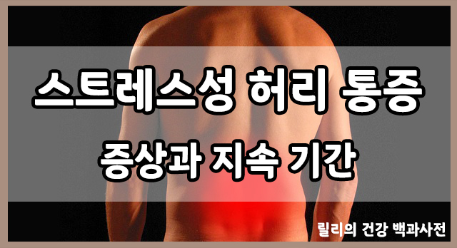  스트레스성 요통 : 스트레스성 허리 통증의 증상과 지속 기간