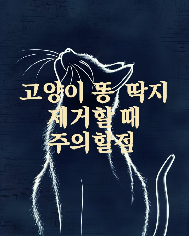딱지야 이미지