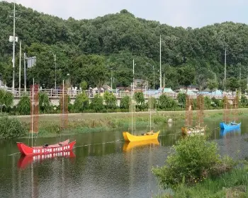 공주 수국축제 유구 색동 수국 정원 꽃축제_17