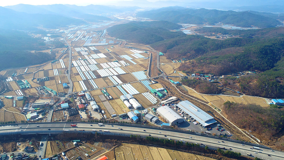 대구농수산물도매시장 남향