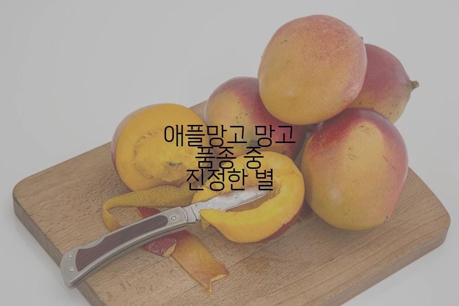 애플망고 망고 품종 중 진정한 별