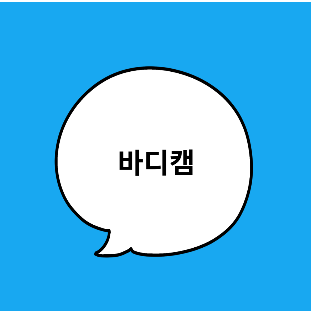 바디캠