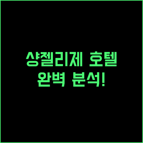 파리 샹젤리제 호텔 완벽 분석 위치,