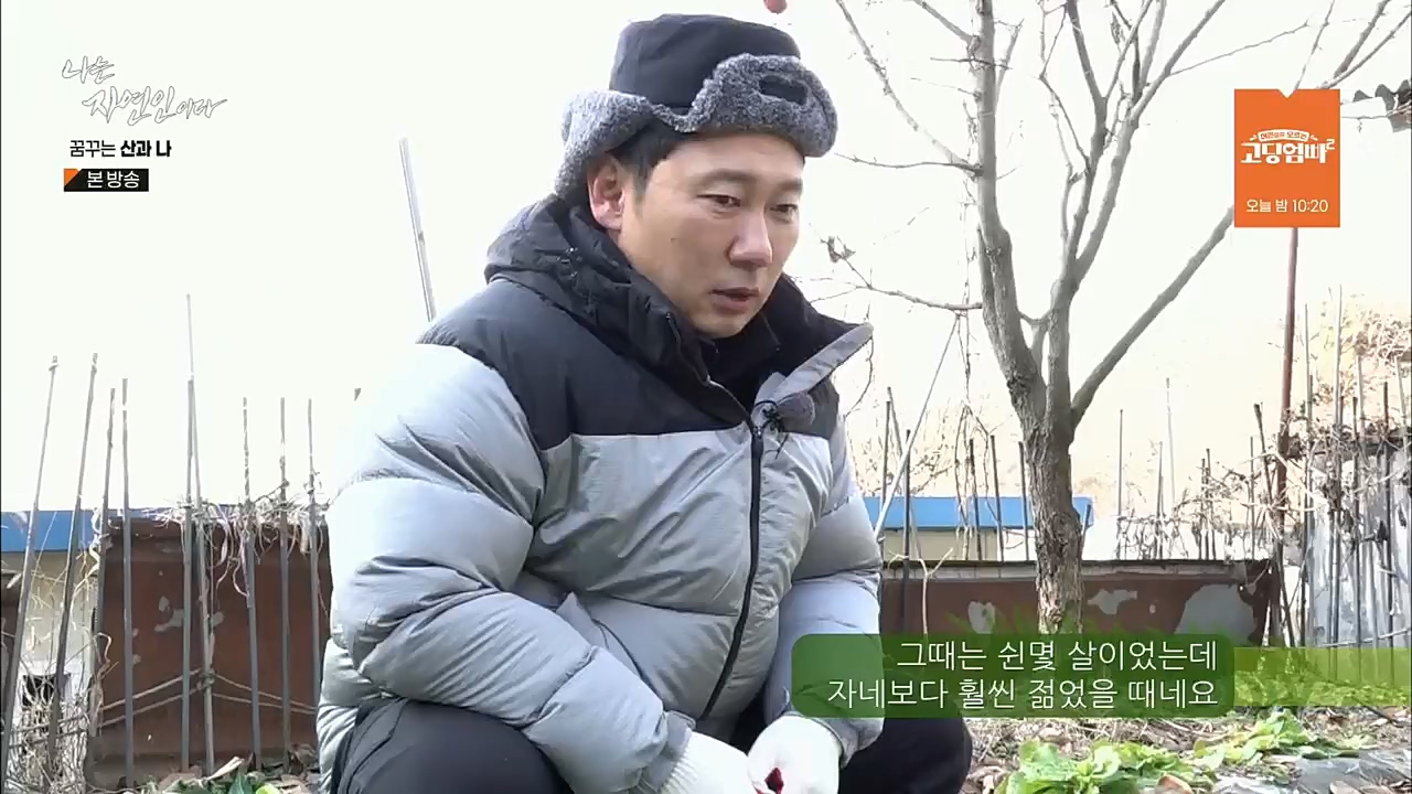 나는 자연인이다.E534.221229p.H264-F1RST.mp4_20221229_200026.414.jpg