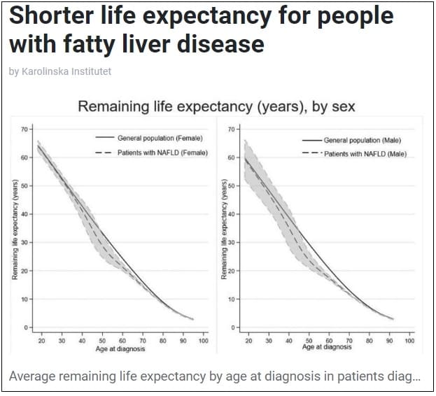 지방간 보유자&#44; 3년 수명 짧아져 ㅣ 지방간 대책 Shorter life expectancy for people with fatty liver disease