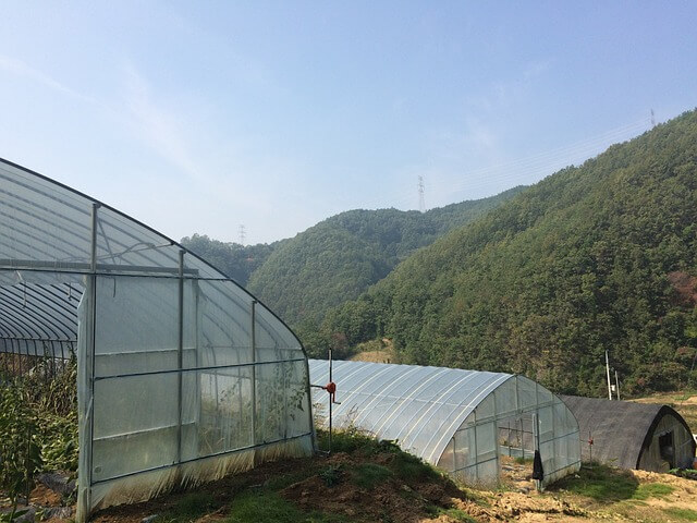 농지은행 농지장기임대차사업 지원조건 및 지원대상
