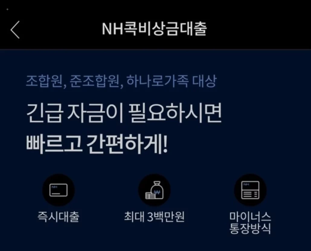 NH콕비상금대출 모바일 설명