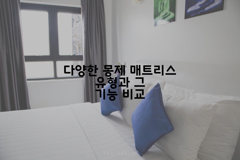 다양한 몽제 매트리스 유형과 그 기능 비교