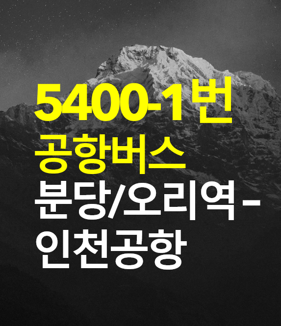  분당/오리역 - 인천공항 5400-1 공항버스 시간표, 예약하는 방법