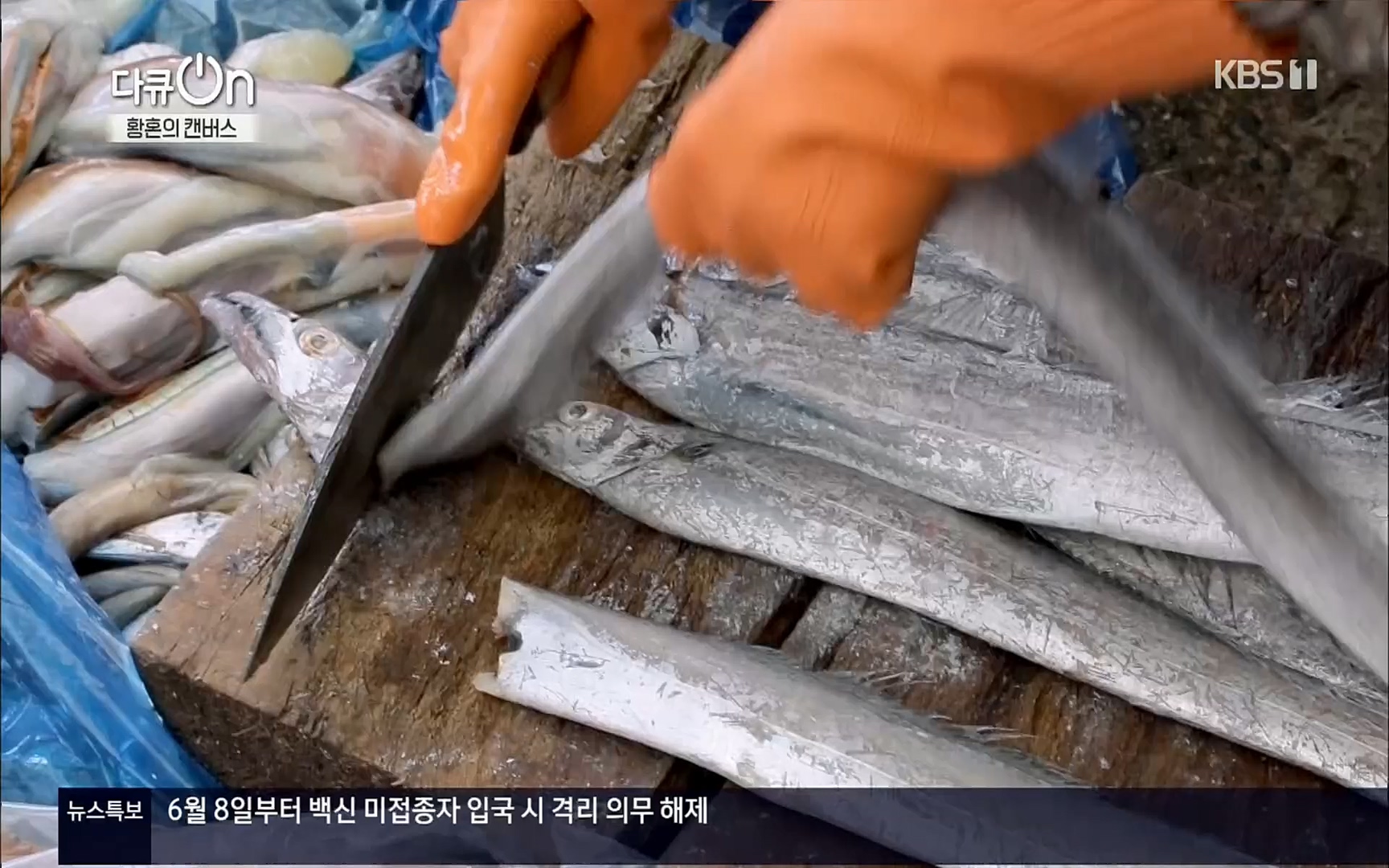 다큐 On.E142.220603p.H264-F1RST.mp4_20220604_175803.071.jpg