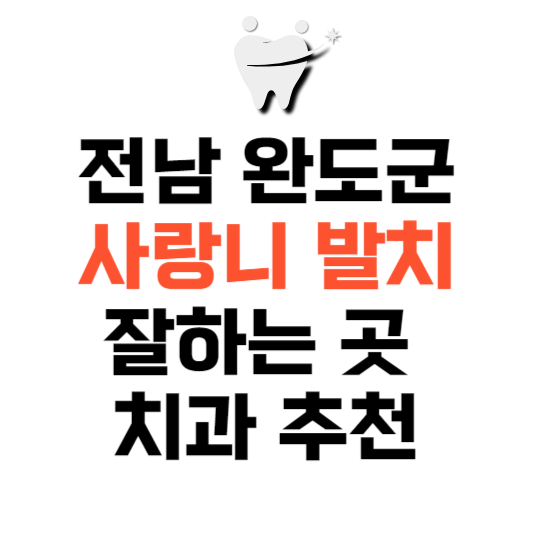 전남 완도군 사랑니 치과 발치 잘하는 곳 추천 매복 가격 비용.png
