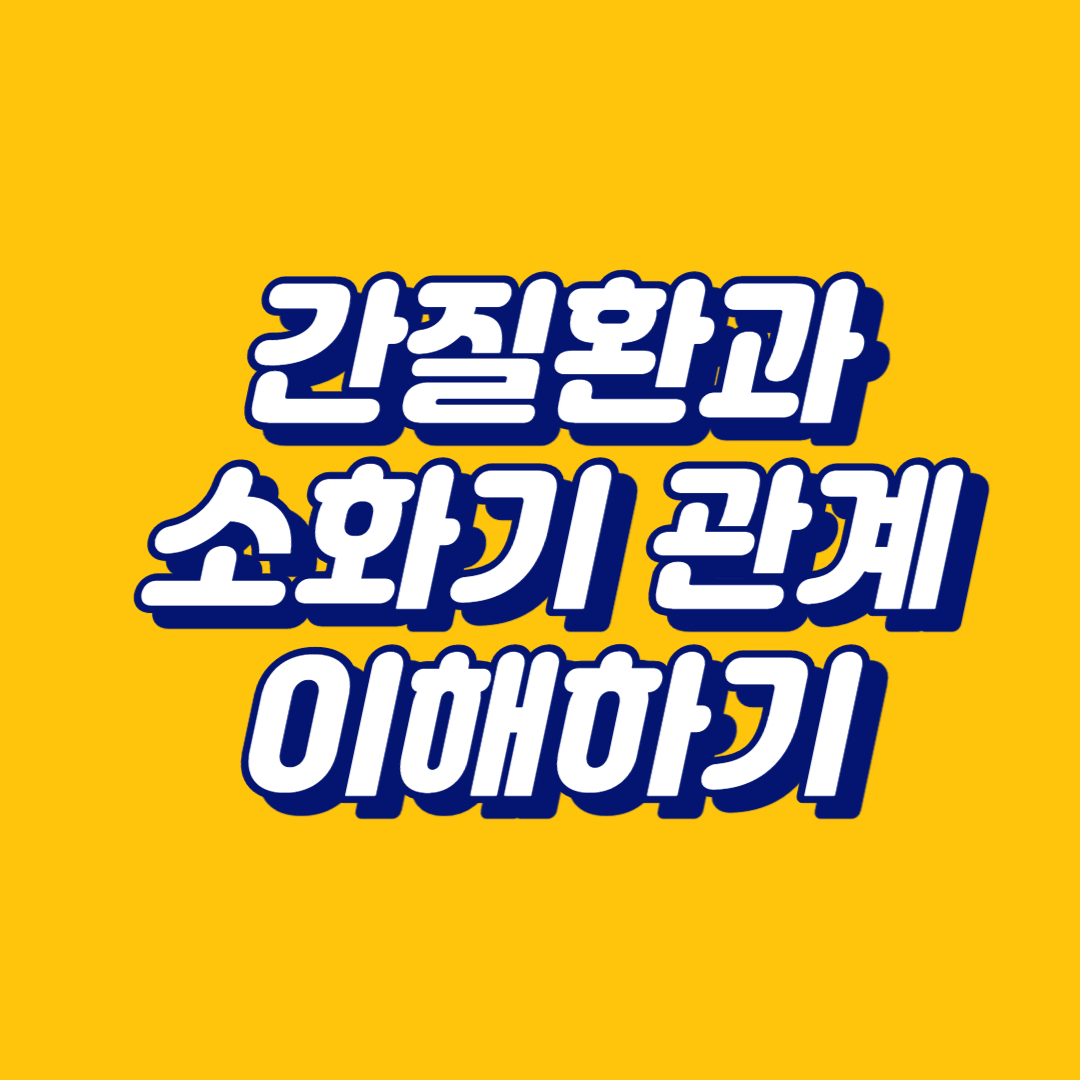 간질환과 소화기관계 이해하기