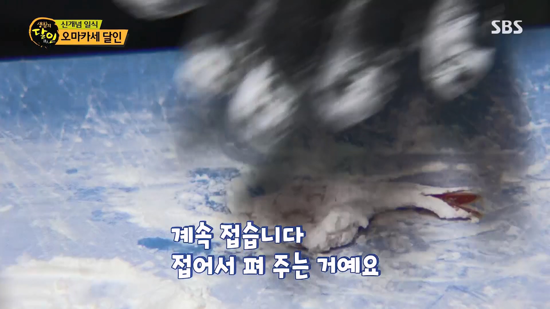 생활의 달인.E939.240610p.H264-F1RST.mp4_20240611_200856.508.jpg