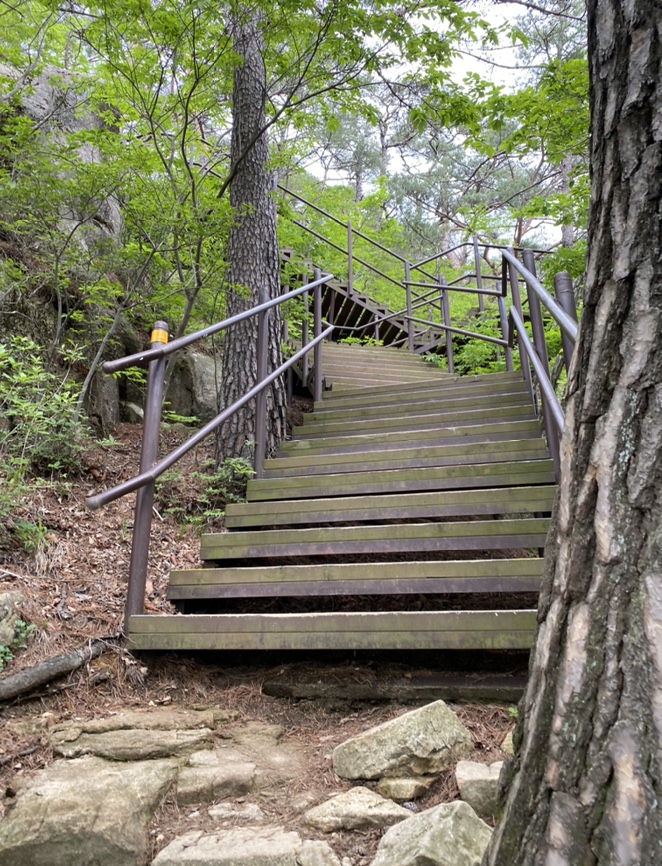 여름산으로 추천하는 괴산 칠보산(778m) 숲속을 거니는 듯 시원해 52