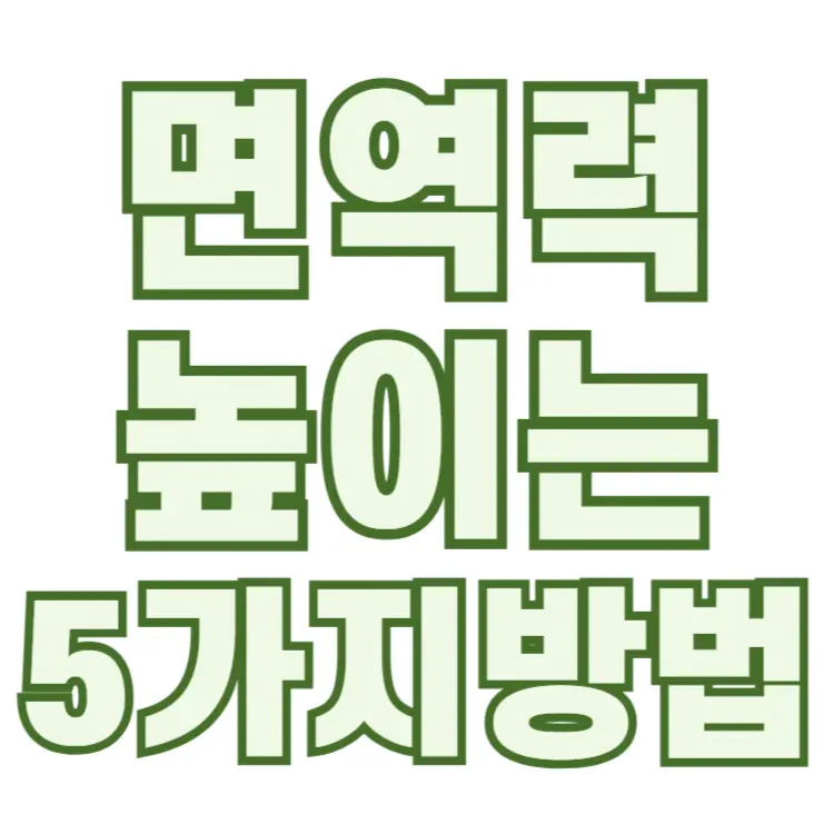 면역력을 높이는 5가지 방법