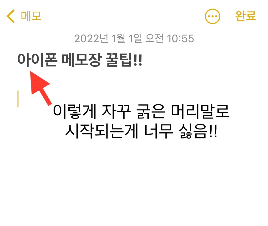 아이폰 메모장 또는 카메라 앱에서 텍스트를 선택하다