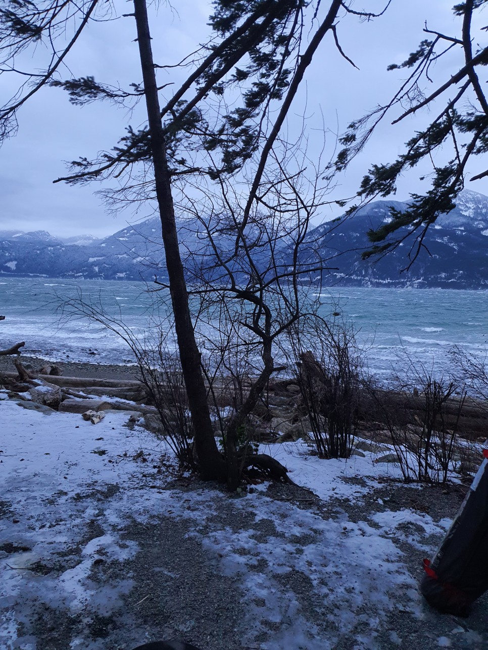 rv RV 카라반 끌고 미국 40